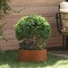 vidaXL Plantenring - 5 stuks - Roestig - 40 x 40 x 20 cm - Weervast staal