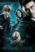 Harry Potter 5 Order of the Phoenix Standard Edition DVD