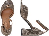 Joop - Dames Sandalen Serpente Cresta Pia - Leer - Platte Sandalen - Greige - Maat 40
