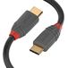LINDY 36871 1 m USB 2.0 type C kabel 3A, antraciet
