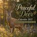 Peaceful Deer 2027 Calendar