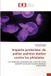 Impacte Editions Universitaires Europeennes Impacte protecteur du pollen palmier dattier contre les phtalates