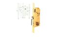 TESA R200B566L Monopunt Veiligheidsslot voor Voordeuren, Messingkleurige Afwerking, T60 Cilinder 30 x 30 mm, E700L Rozet, 4 Schoten van 14 mm en Bevestigingen Inbegrepen