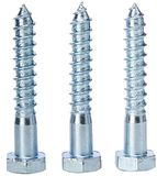 Zeskant coachscrews (verzilverd zink) 12 x 75 mm (10 stuks)