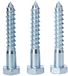 Zeskant coachscrews (verzilverd zink) 12 x 75 mm (10 stuks)