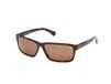 Timberland TB00053 Polarisierte Sonnenbrille Braun