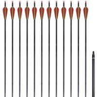 vidaXL 12x Flèches Standard Carbone 30 0,76 cm pour Arc Classique Tir à l'Arc