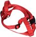 Nobby Servies Classic, rood borst: 70/90 cm, B: 25 mm, 1 stuk