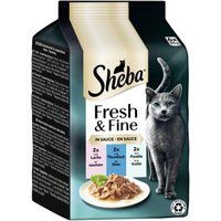 Sheba Fresh Fine natvoer kat volwassen multipack in saus Zalm, tonijn en forel 36x50 g