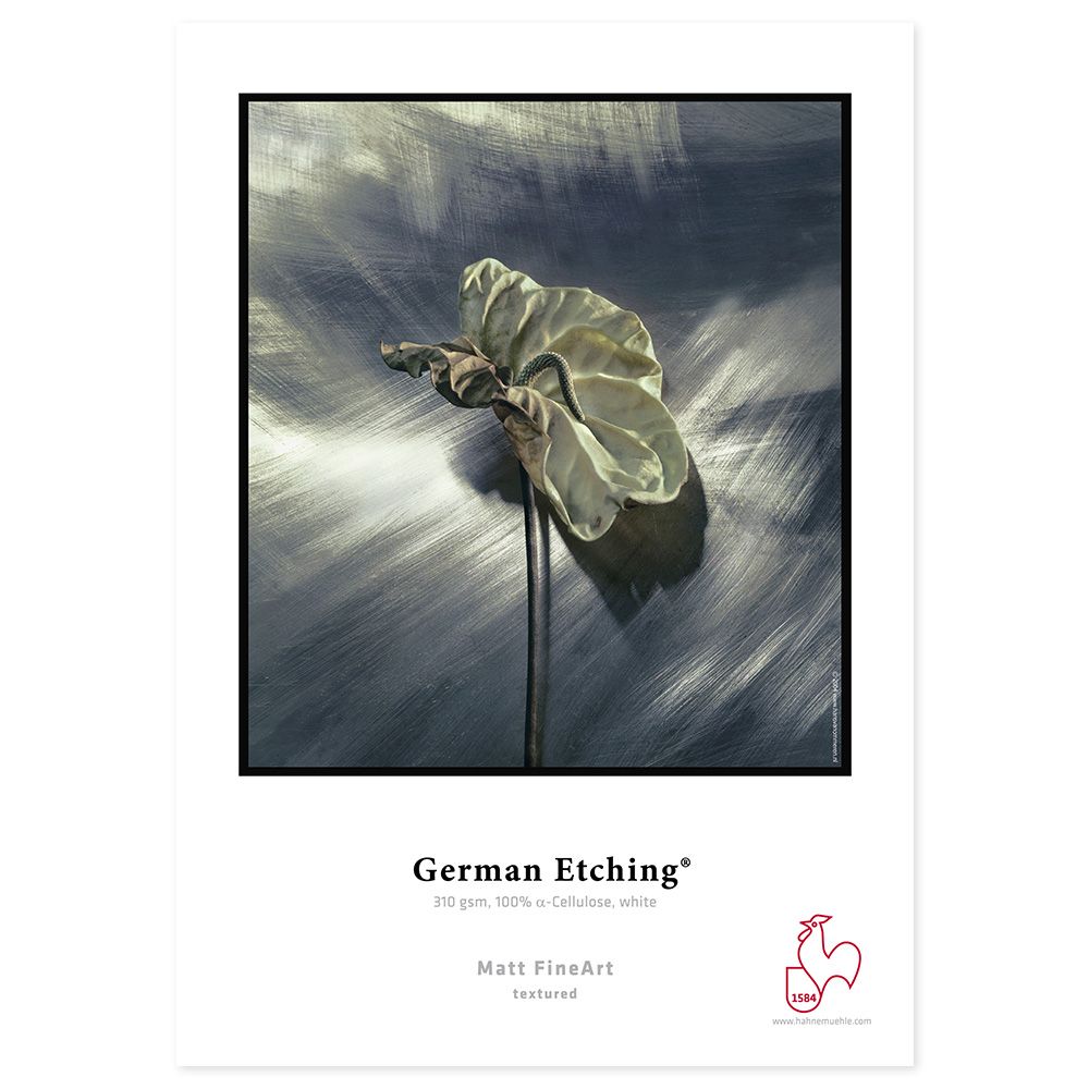 Hahnemühle German Etching 310g Roll 36x12m