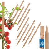 MK TRADING Michał Kotarba Kotarbau Houten Plantstokken - 25 cm - Set van 10