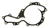 Gasket, Icecat Gasket, water pump