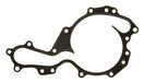 Gasket, Icecat Gasket, water pump