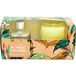 Jungle Lounge Sandalwood & Iris Scented Candle & Reed Diffuser Gift Set