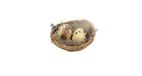 HBX natural living Deco Nest met eitjes en veren 6 st. Ø7cm