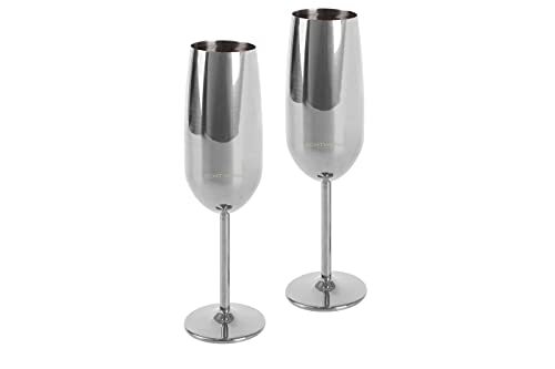 Echtwerk Champagneglas, champagneglas, champagneglas van roestvrij staal, onbreekbare glazen, partyglazen voor bruiloft, verjaardag, picknick, cadeauset, 2-delig, 250 ml, Silber-Edition
