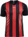 Craft Progress Stripe Shirt Korte Mouw Dames - Zwart / Rood | Maat: XL