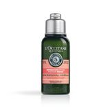 L'Occitane Aromachologie Intensive Repair Conditioner 75 ml