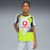 Puma BVB Auswärtstrikot Kinder Saison 2025/26 Flock: ohne Spielerflock - Größe: 152