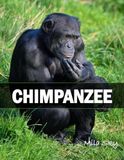 Chimpanzee: A Coffee Table Photo Book for Animal Lovers