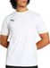 Puma TeamGOAL Matchday Shirt Heren - Maat S