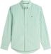 Tommy Hilfiger Heren Lange Mouwen Shirt Katoen Maat L Groen