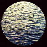 Konkurrent Ant Orange - Right There (12" Single) (Limited Edition)