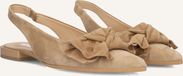 Notre-V 72251 Hakken Dames - Beige - Maat 38