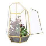 Relaxdays planten terrarium, glas & koper, 26x18x15 cm, mini kweekkas, voor cactus & mos, vensterbank, binnen, goud
