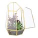 Relaxdays planten terrarium, glas & koper, 26x18x15 cm, mini kweekkas, voor cactus & mos, vensterbank, binnen, goud