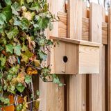 CJ Wildlife Systeem Nestkast - Houten Vogelhuisje - Bruin