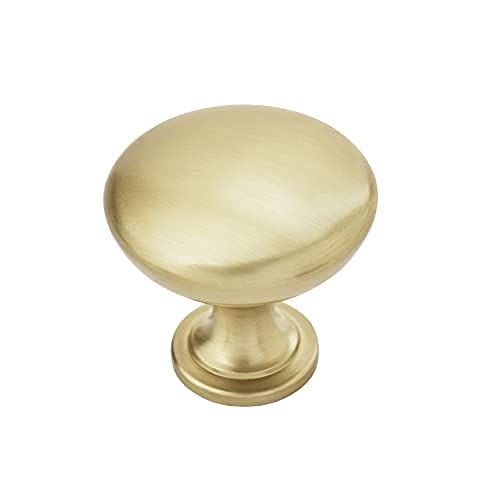Amerock Edona 1-1/4 inch Champagne Gold Cabinet Knob - 10 Pack