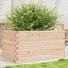 Maison Exclusive - Jardinière pour jardin, 90 x 60 x 46 cm, en pin massif