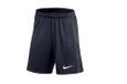 NIKE heren Shorts Df Acdpr24