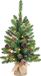 Black Box Creston Kerstboom - 60cm - Groen - 20 LED lampjes - Batterij