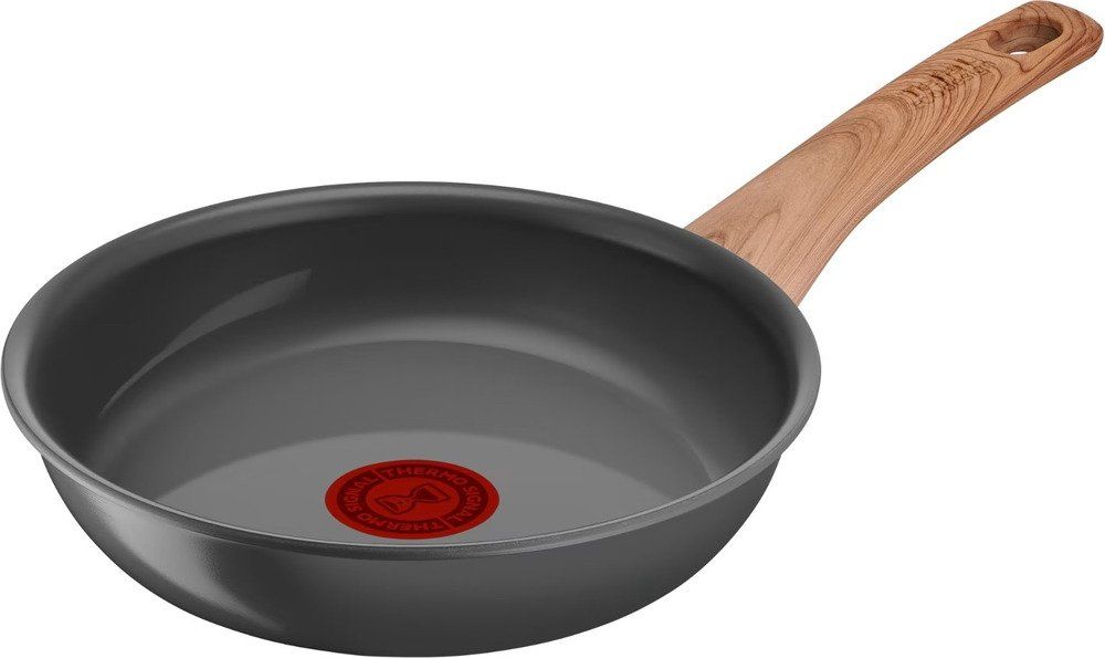 Tefal Renew Braadpan 20cm