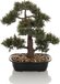 BONSAI - Kunstplant Groen - Buxus - 44 cm - Kunststof - Voor binnen
