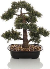 BONSAI - Kunstplant Groen - Buxus - 44 cm - Kunststof - Voor binnen