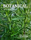 All About Rosemary