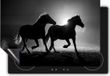 Chefcare Inductie Beschermer Silhouet Paarden Zwart Wit 77x59 cm