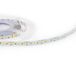 Prolumia LED Strip 5M | 24W 3000K 24V IP20 | 46224012