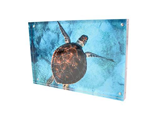 Adventa Vision Blox - 127 x 178mm / 5 x 7 print - 5055330501968