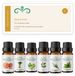 Scentulp Zomerlicht - Huile essentielle - 6 x 10 ml