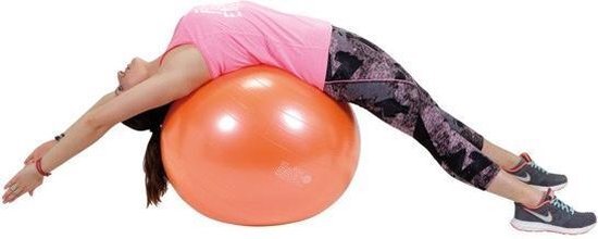 Gymnic Plus 65 BRQ - Zitbal en fitnessbal - Oranje - Ã˜ 65 cm