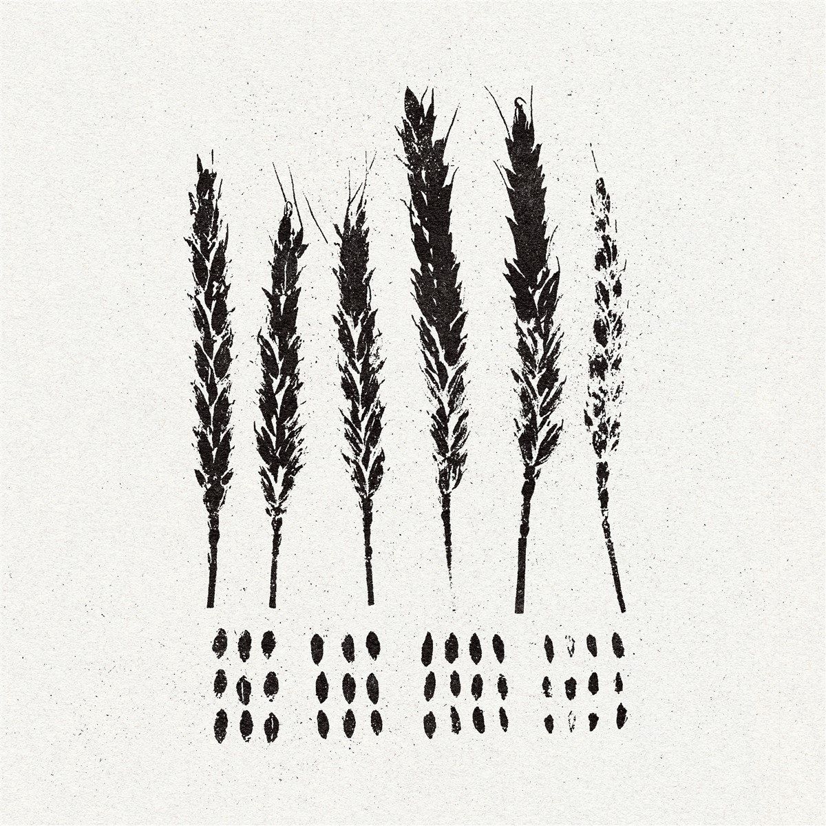 PIAS Nederland Lo! - The Gleaners (LP)