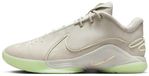 Nike LeBron 22 Dunkman - Maat 42.5