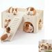 Maison d'activités en bois pour petits animaux, avec rampe d'accès