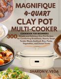 MAGNIFIQUE 4-QUART CLAY POT MULTI-COOKER