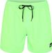 Quiksilver M Everyday Volley 15 Swimshort Green Gecko XXL