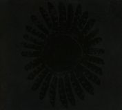 Suburban Avifauna LP
